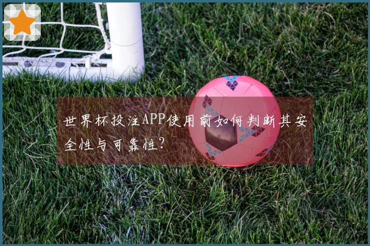 世界杯投注APP使用前如何判断其安全性与可靠性？