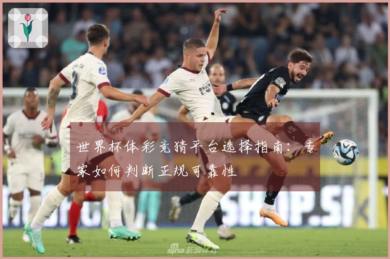 世界杯体彩竞猜平台选择指南：专家如何判断正规可靠性