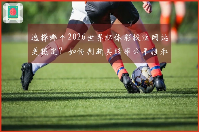 选择哪个2026世界杯体彩投注网站更稳定？如何判断其赔率公平性和服务质量？