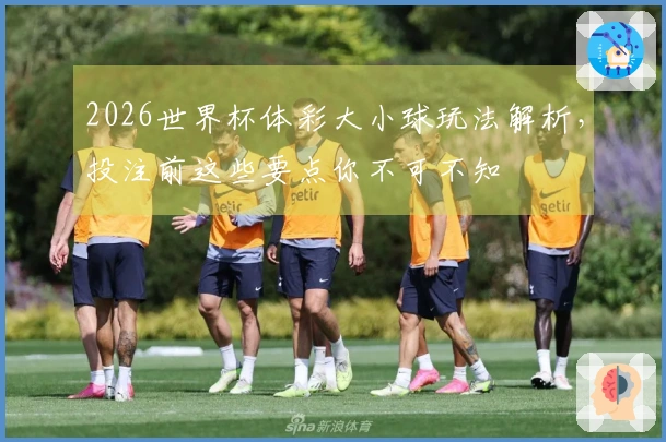 2026世界杯体彩大小球玩法解析，投注前这些要点你不可不知