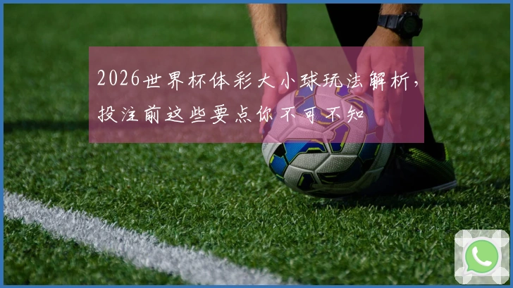 2026世界杯体彩大小球玩法解析，投注前这些要点你不可不知