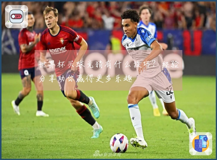 世界杯买球竞猜有什么技巧？经验分享助你赢得更多乐趣