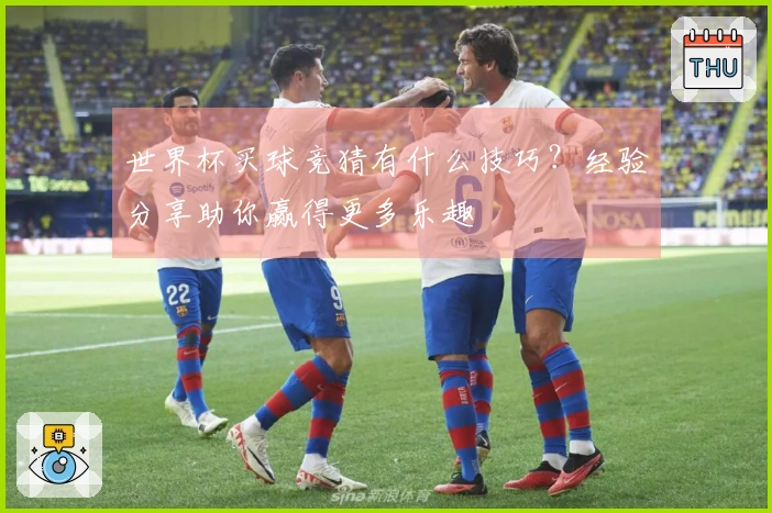 世界杯买球竞猜有什么技巧？经验分享助你赢得更多乐趣