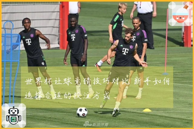世界杯让球竞猜技巧对比 新手如何选择合适的投注方式