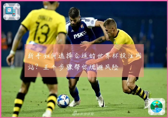 新手如何选择合适的世界杯投注网站？五个步骤帮你规避风险